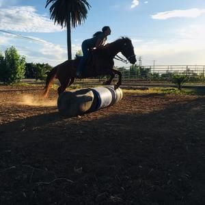 Meet your Posher, Breanna